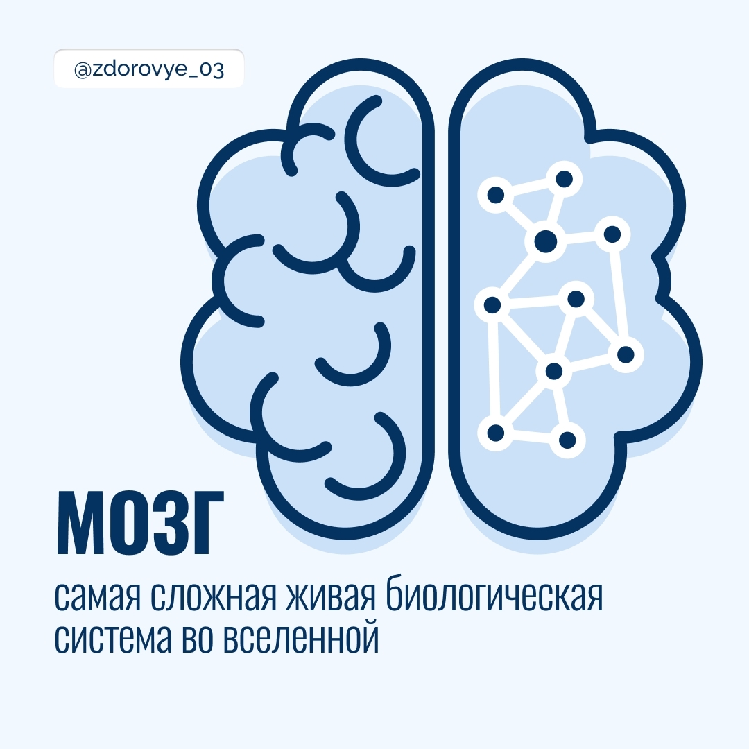 С 21 по 27 июля проходит Неделя сохранения здоровья головного мозга, приуроченная к Всемирному дню мозга 22 июля.