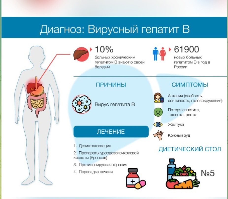 С 22-28 июля - Неделя профилактики заболеваний печени